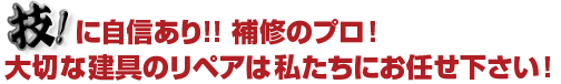 アルミサッシ、ステンレス、玄関扉のキズ補修のプロ！リペアマックスにお任せ下さい